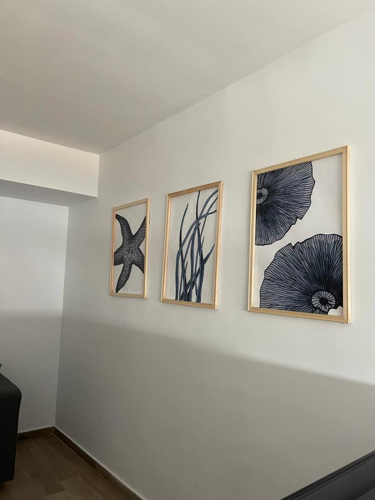 Apartamentos Matilda Conil De La Frontera Εξωτερικό φωτογραφία